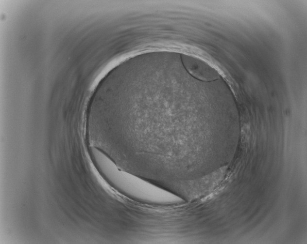 X0000085061523200703191311