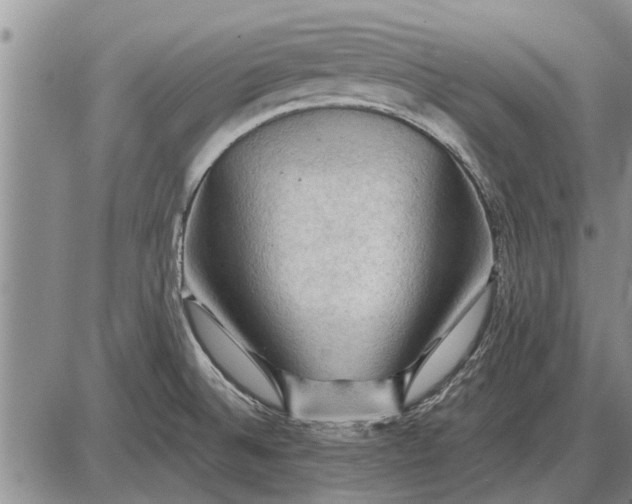 X0000085061524200703191311