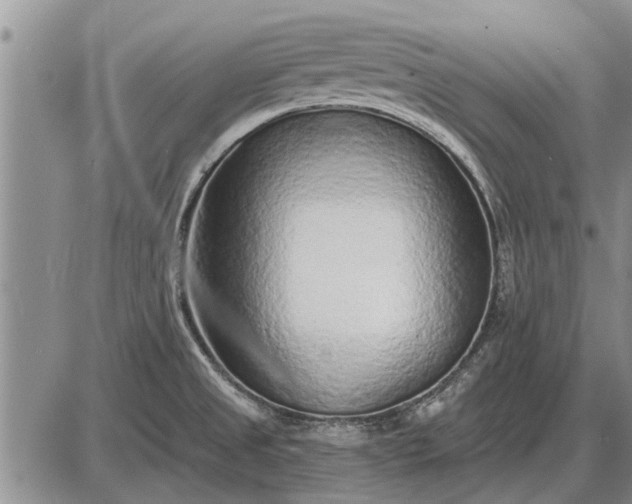 X0000085061525200703191311