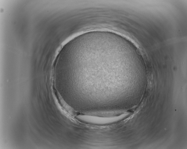 X0000085061526200703191311