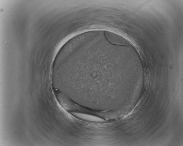 X0000085061527200703191311