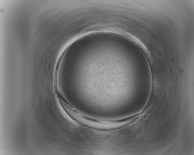 X0000085061528200703191311