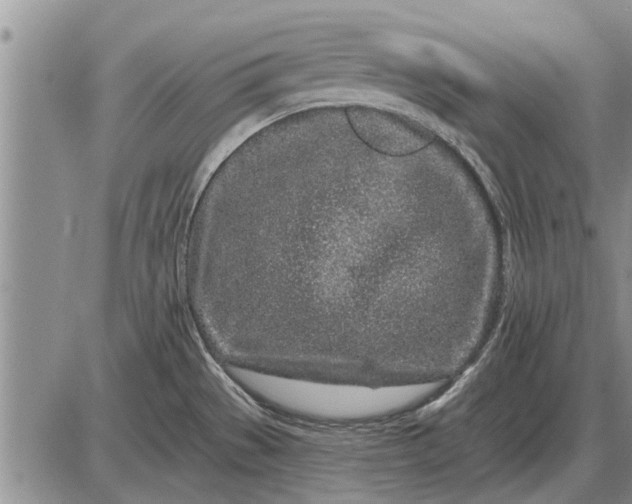 X0000085061529200703191311