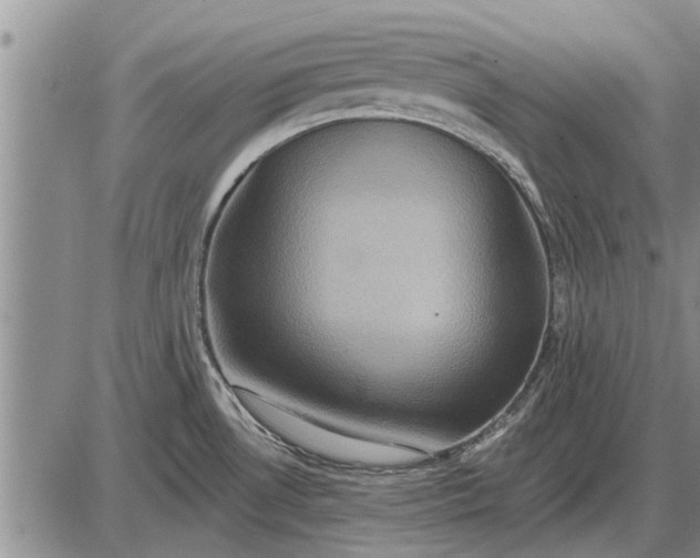 X0000085061530200703191311