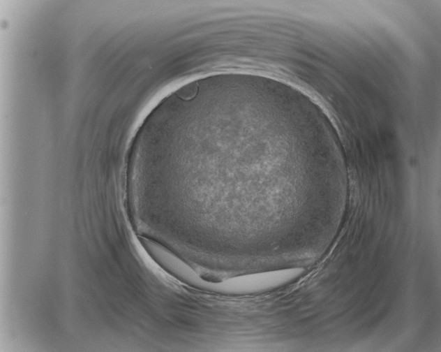 X0000085061531200703191311