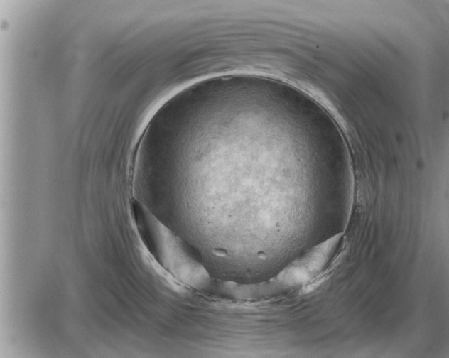 X0000085061532200703191311