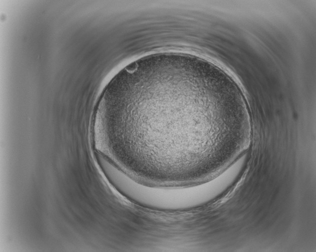 X0000085061533200703191312