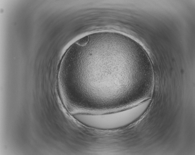 X0000085061534200703191312