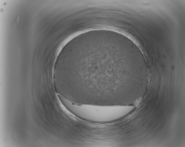 X0000085061535200703191312