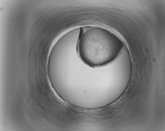 X0000085061536200703191312