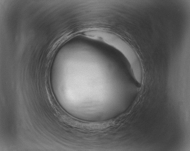 X0000085060001200703261217