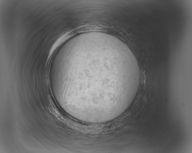 X0000085060004200703261217