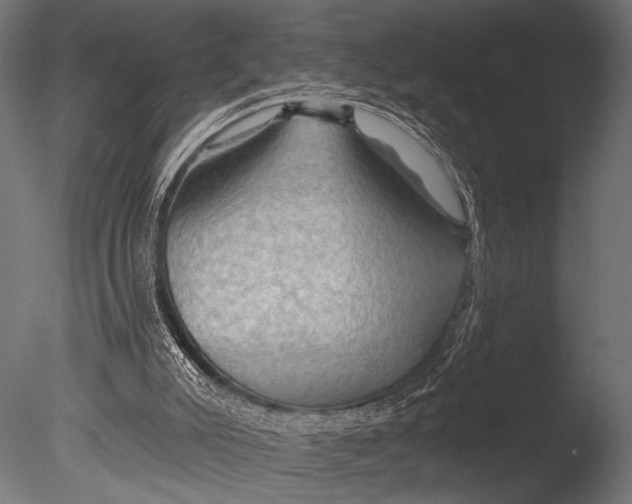 X0000085060007200703261217