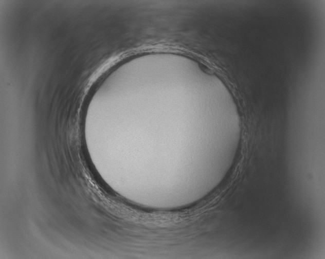 X0000085060008200703261217