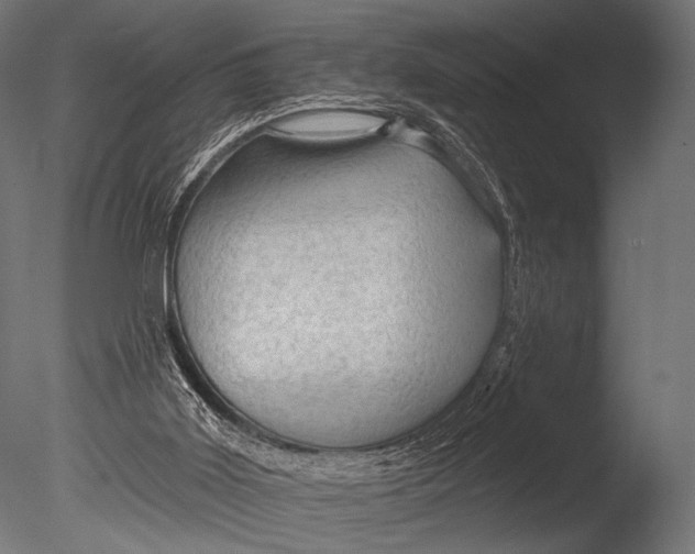 X0000085060011200703261217