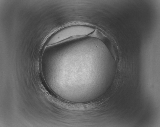 X0000085060015200703261217