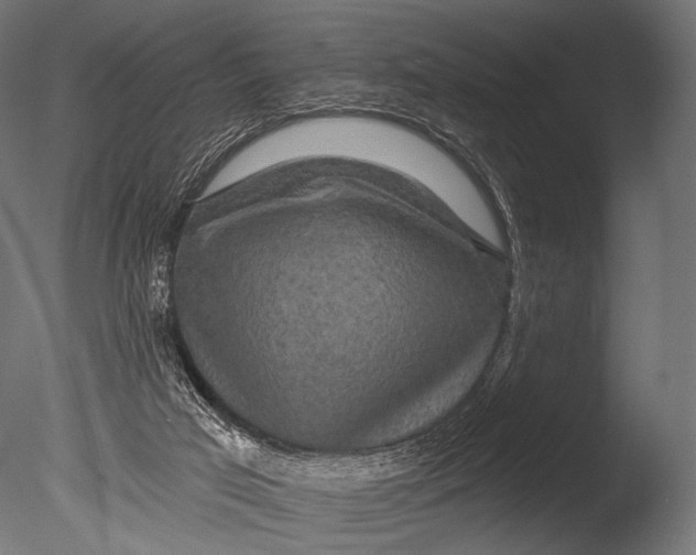 X0000085060017200703261217