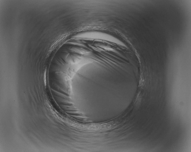 X0000085060019200703261217