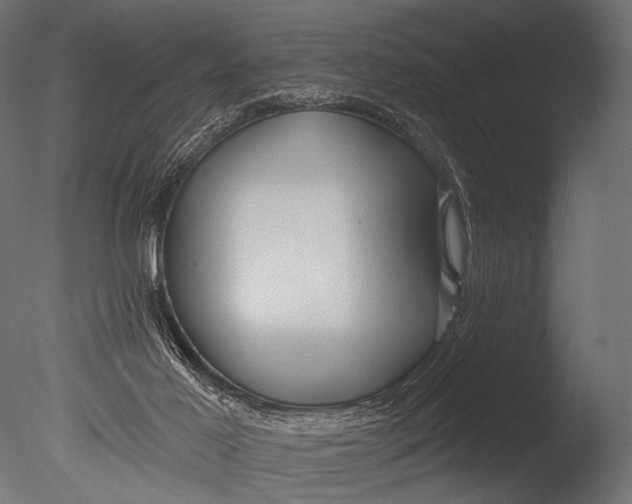 X0000085060021200703261217