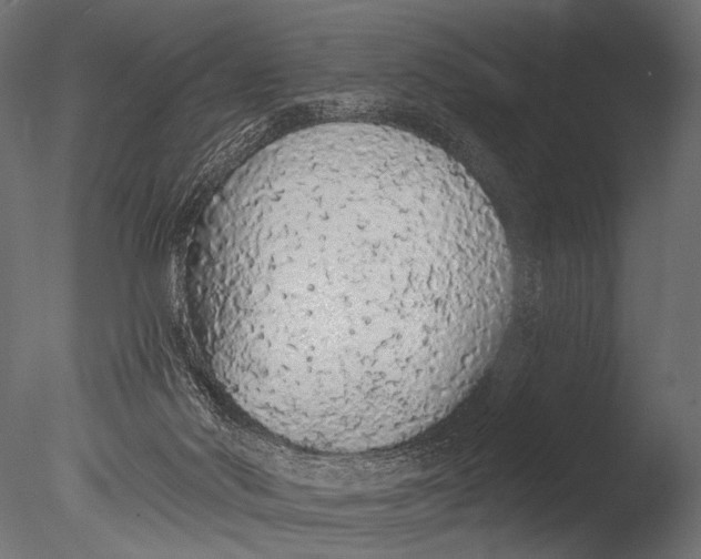 X0000085060022200703261217