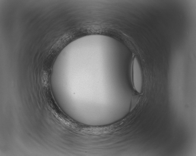 X0000085060025200703261217