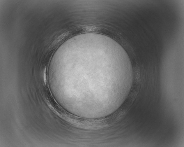 X0000085060028200703261217