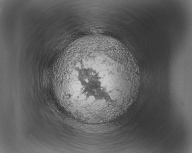 X0000085060030200703261217