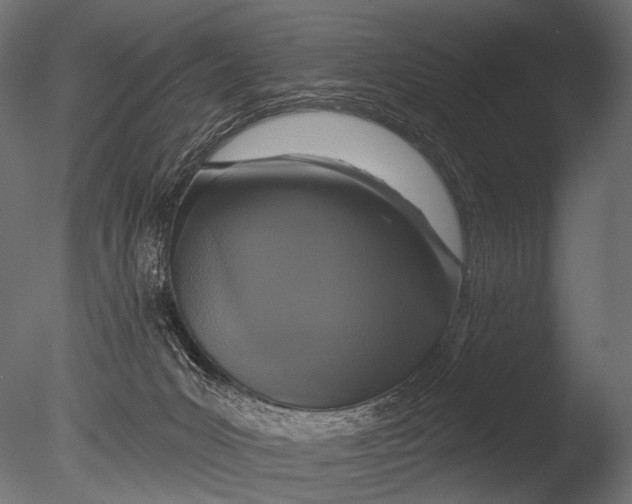 X0000085060031200703261217