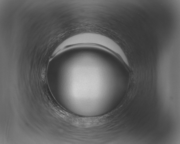 X0000085060033200703261217