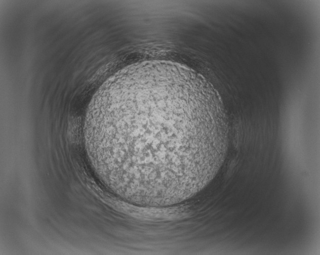 X0000085060034200703261217