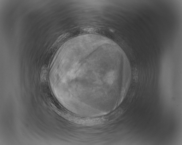 X0000085060036200703261216