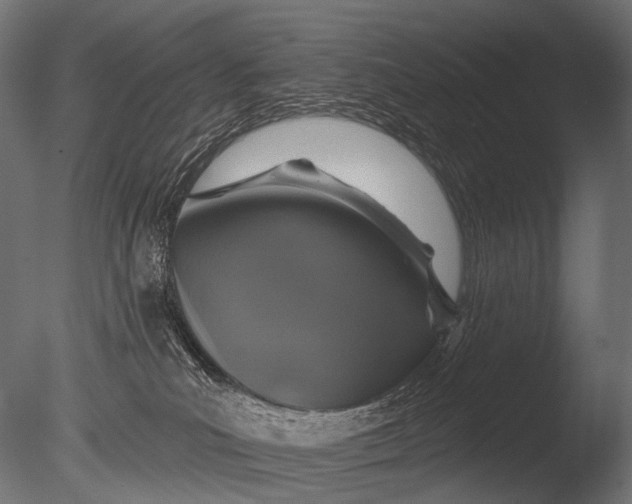 X0000085060039200703261216