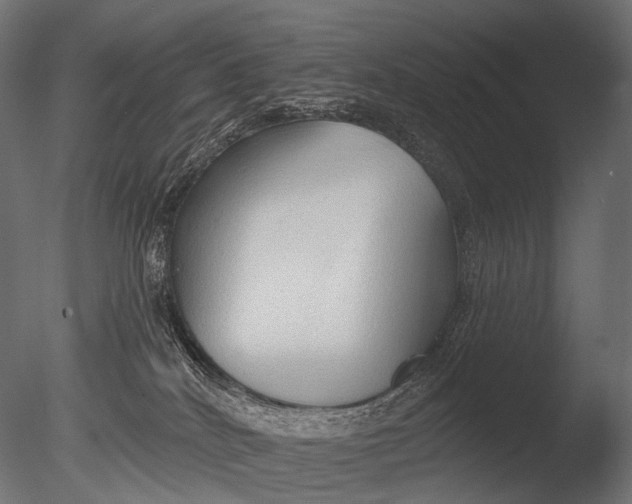 X0000085060040200703261216