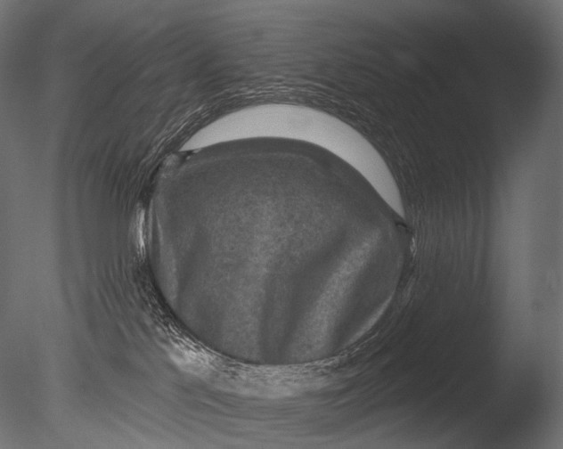X0000085060041200703261216