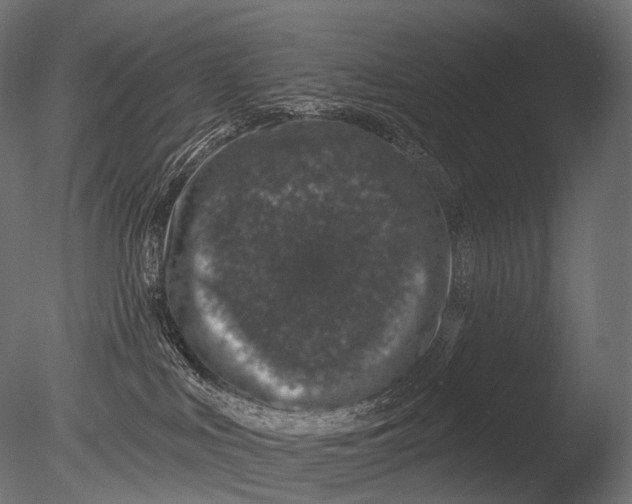 X0000085060043200703261216