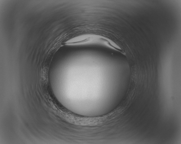 X0000085060044200703261216