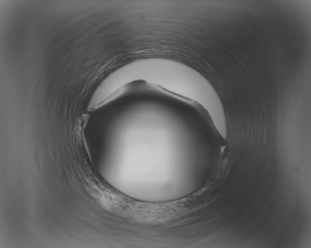 X0000085060045200703261216