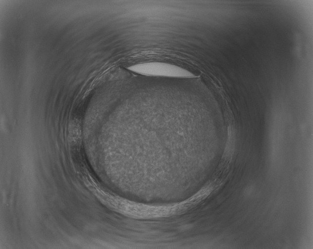 X0000085060048200703261216
