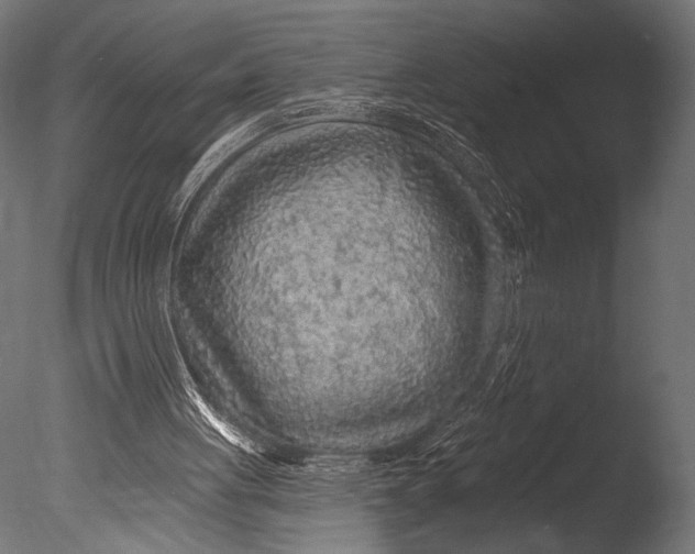 X0000085060051200703261215