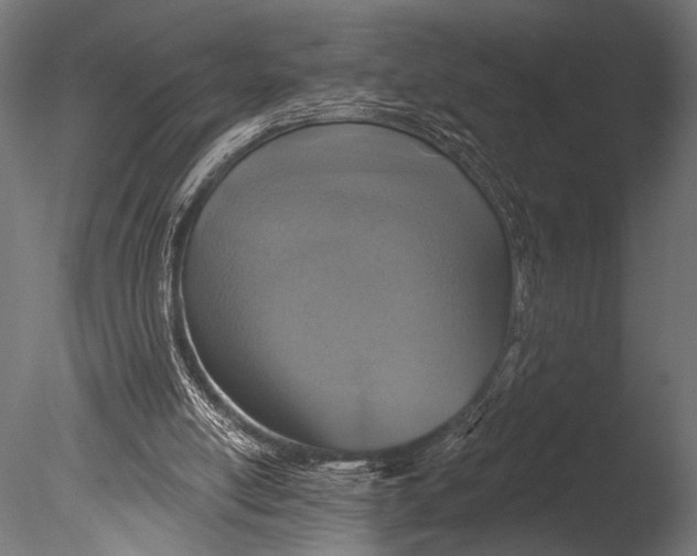 X0000085060054200703261216