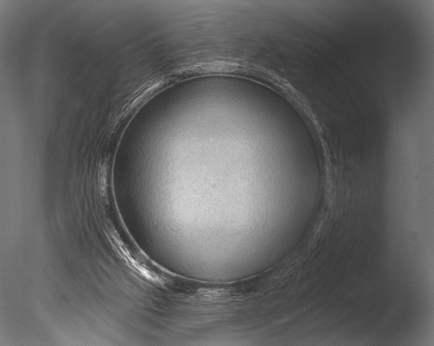X0000085060057200703261216