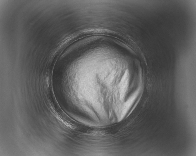 X0000085060063200703261216