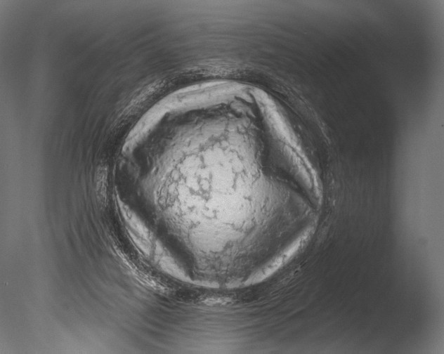 X0000085060066200703261216
