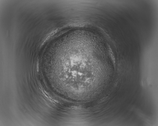 X0000085060068200703261216