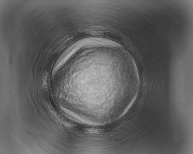 X0000085060073200703261216