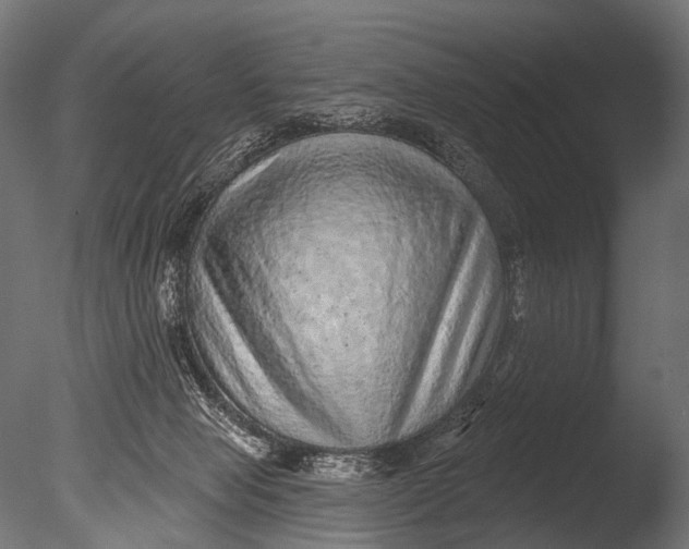 X0000085060077200703261216