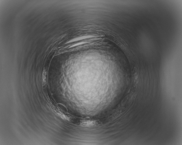 X0000085060081200703261216