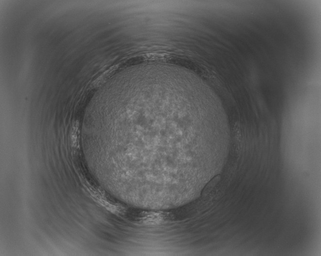 X0000085060083200703261216