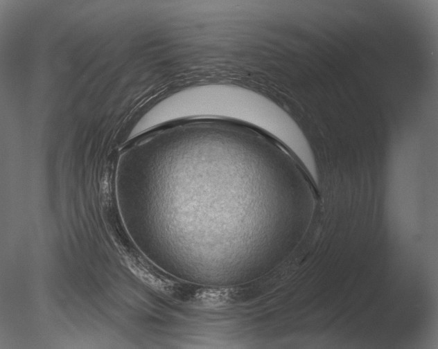 X0000085060084200703261216