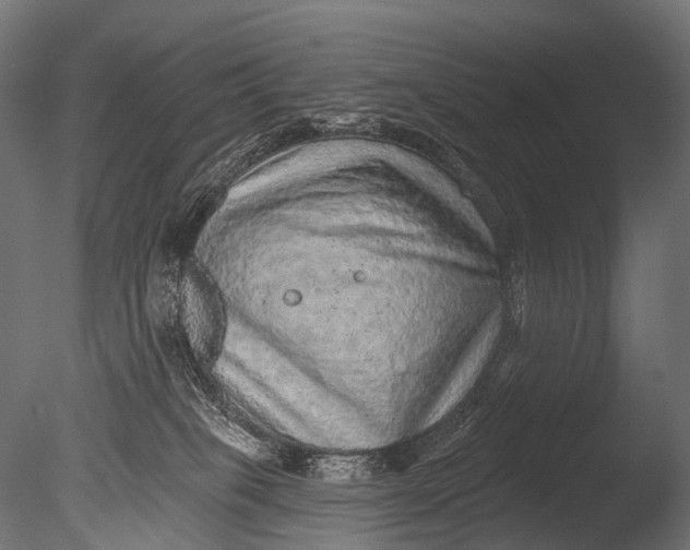 X0000085060085200703261216